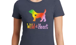 Ladies T-Shirts Branding Custom T-Shirts Printing Company in Lagos