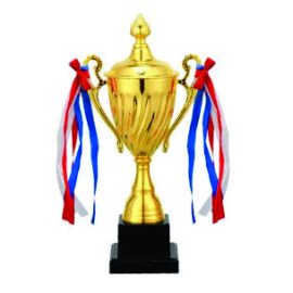 Customized Metal Award Trophy Cups with ribbons